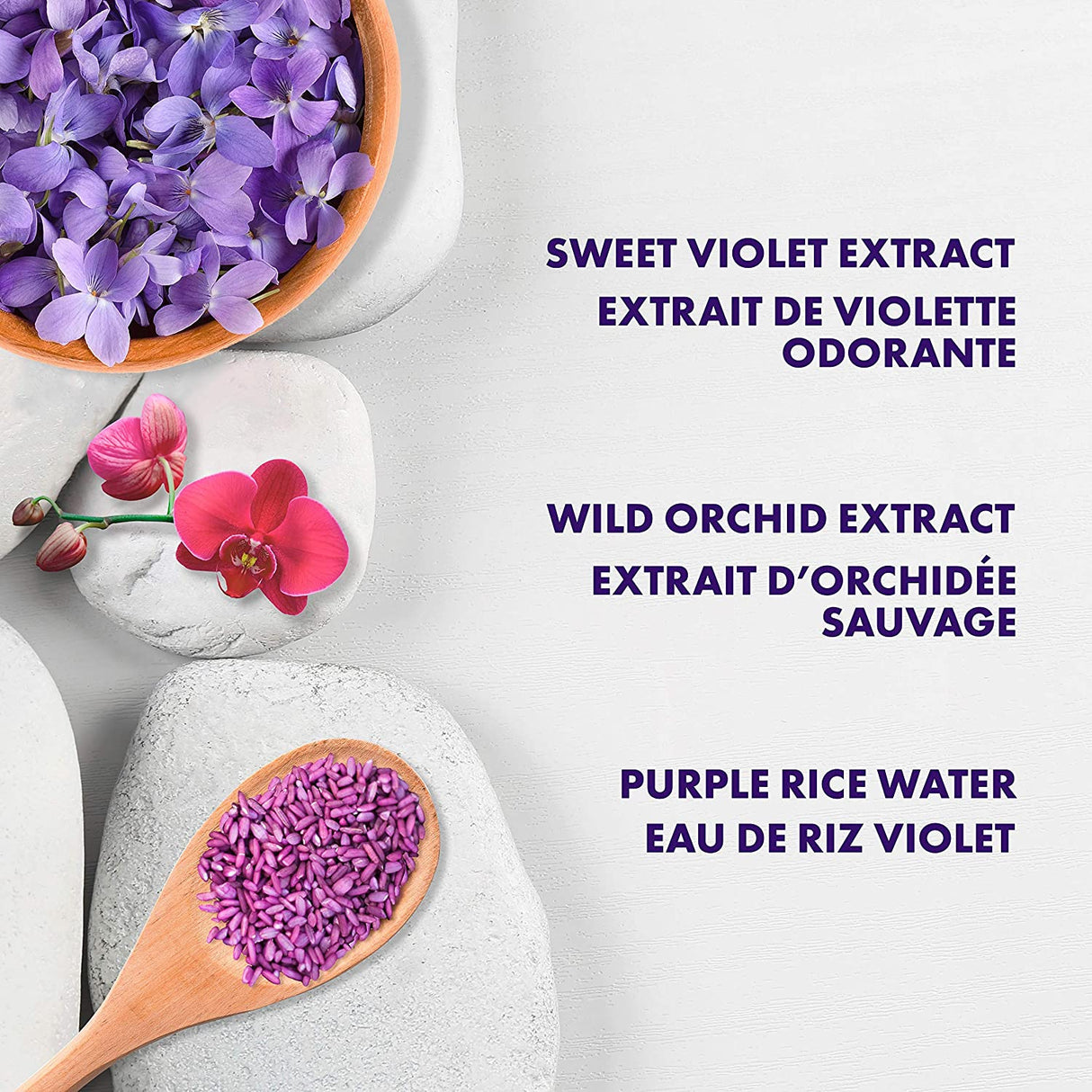 SheaMoisture Purple Rice Water Strength + Color Care Shampoo for Damaged Hair 13.5 fl ounce Find Your New Look Today!