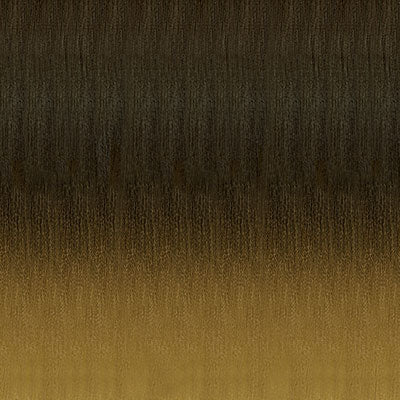 Natural Black Root to Honey Blonde