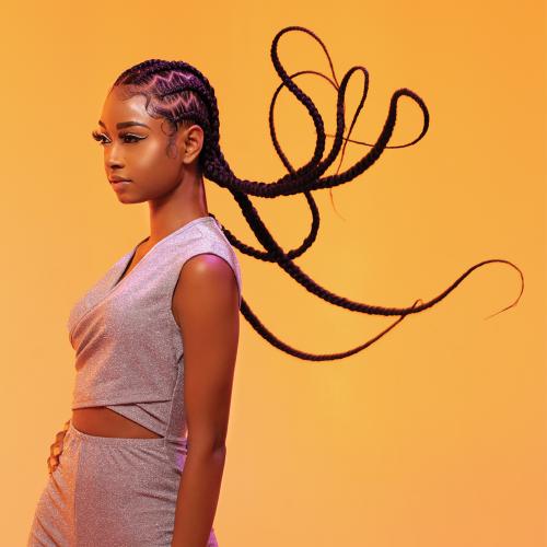 BOX DEAL Sensationnel Braids XPRESSION 3X Pre-Stretched Braid 58" (50 packs/box)